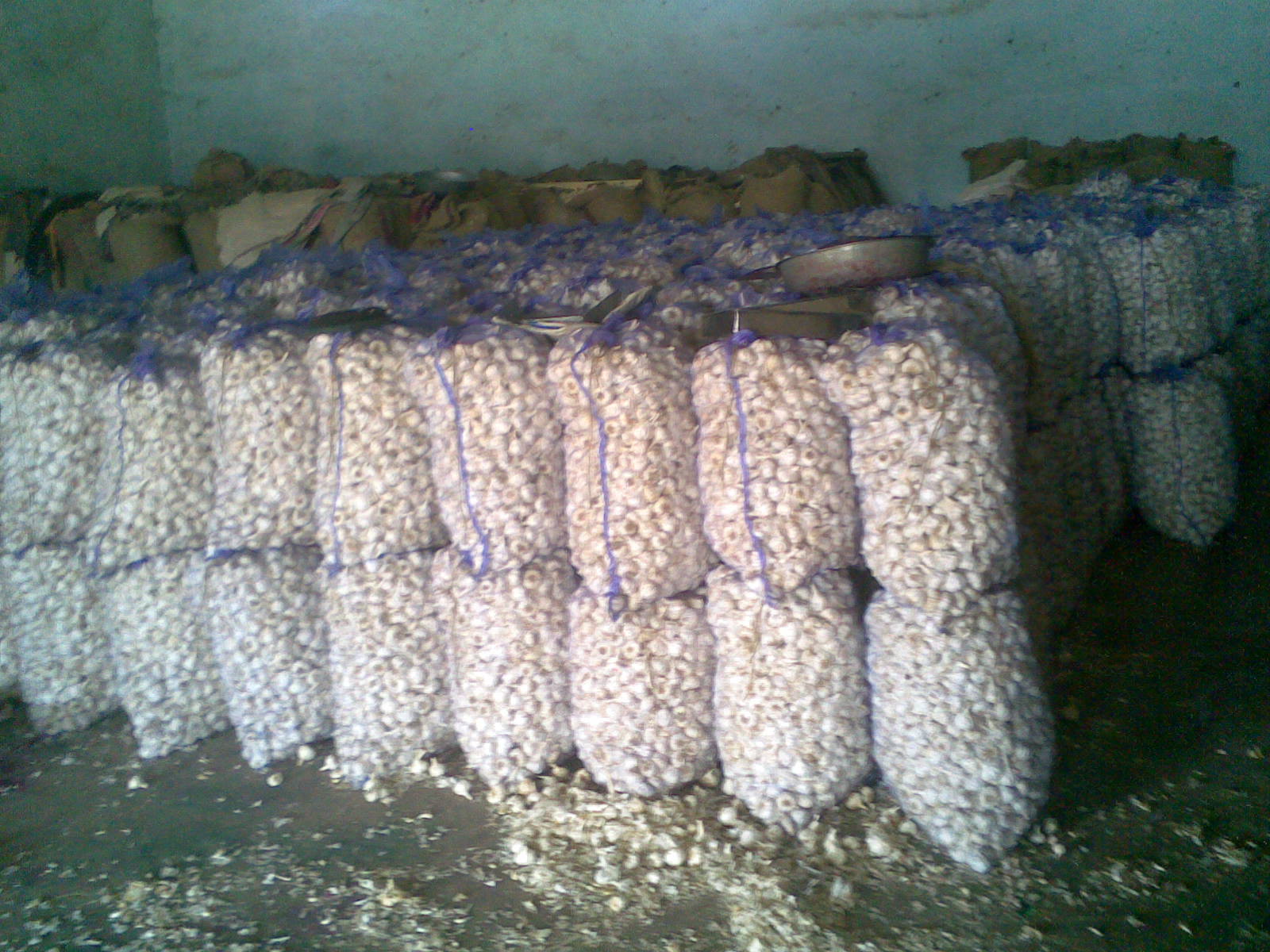 garlic net bag